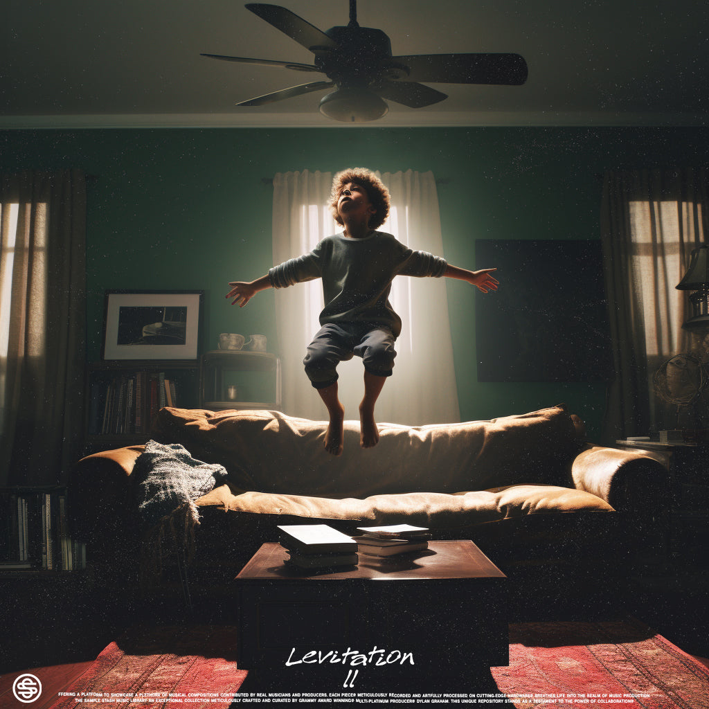 Levitation Vol. 2 - Sample Plug